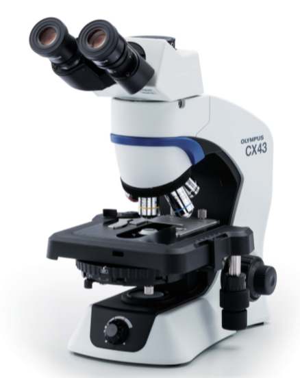 올림푸스 현미경